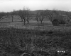 Gallup Property Between Berlin and Barre