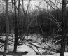 Getz Property Forestland Between Brookfield and Berlin