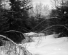 Getz Property Between Brookfield and Berlin