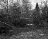 Getz Property Forestland Between Brookfield and Berlin