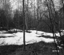 Blaine Property Forestland Between Brookfield and Berlin