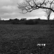 Weatherby Property in Fair Haven