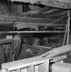 Weatherby Property Barn Interior