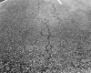 I-89 Asphalt Cracks in Montpelier