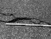 I-89 Asphalt Cracks in Middlesex