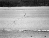 I-89 Asphalt Cracks in Middlesex