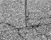I-89 Asphalt Cracks in Montpelier