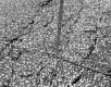 I-89 Asphalt Cracks in Waterbury