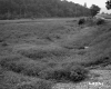 Appleton Property Between Fairlee and Bradford