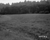 Appleton Property Between Fairlee and Bradford