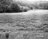 Appleton Property Between Fairlee and Bradford