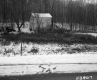 Delehanty Property, Barn and Woods