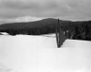 Snow Fence on Route 12
