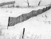 Snow Fence on Route 12