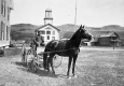 Dean Witham in Horse-Drawn Buggy