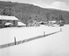 Snow Fence along Route 100