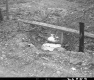 Drainage Ditch