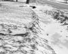 Drainage Ditch