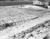 Drainage Ditch