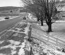 Tessier Property, Farm Fields