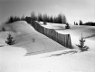 Snow Fence in Field