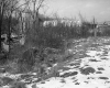 Greenberg Property, View toward Railroad Tracks