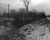 Greenberg Property, Shrubs and Trees along Railroad Tracks