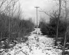 Boane Property, Pathway through Trees