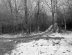 Boane Property, View toward Forest