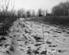 Boane Property, Farm Field and Trees