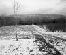 Boane Property, Farm Field and Orchard