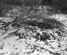 Boane Property, Spring