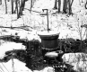 Hewitt Property, Spring