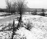 Hewitt Property, Farm Fields and Trees