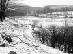 Hewitt Property, Farm Fields and Trees