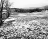 Hewitt Property, Farm Fields