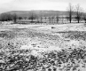 Hewitt Property, Farm Fields