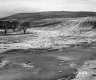 Hewitt Property, Field and Orchard