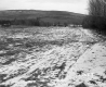 Hewitt Property, Farm Fields