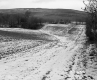 Hewitt Property, Farm Fields
