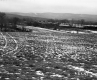 Hewitt Property, Farm Fields