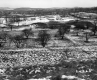 Hewitt Property, View toward Orchard