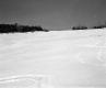 Gallerani Property, Snow-Covered Field
