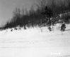 Galleram Property, Field and Trees