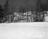 Galleram Property, Field and Trees