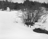 Chatfield Property, Snow-Covered Field and Trees