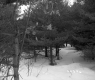 Chatfield Property, View through Trees