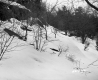 Boyce Property, Rocky Outcrop