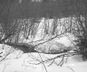 Boyce Property, View through Trees