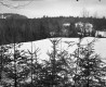Boyce Property, Rolling Hills